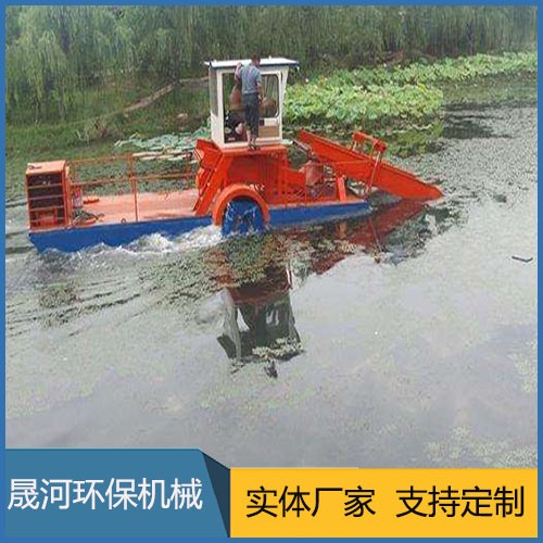 Water hyacinth fishing boat